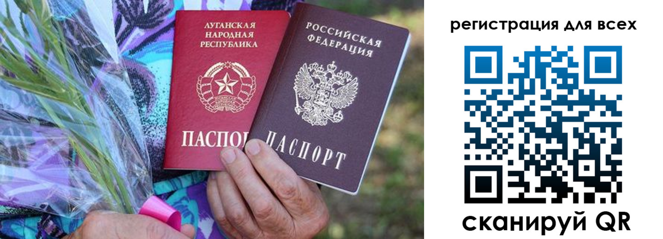 прописка ребенка в Пионерском
